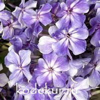 Остров Санторини